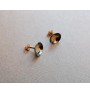 Glossy puddle earrings