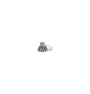 Avent ring