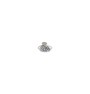 Avent ring