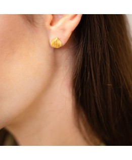 Shell earrings