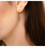 Shell earrings