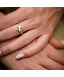 Shell ring