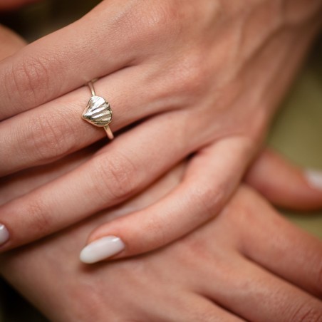 Shell ring