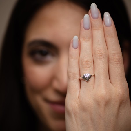 Shell ring