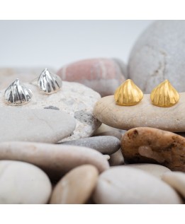 Shell earrings