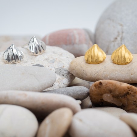Shell earrings