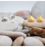 Shell earrings