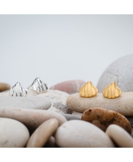 Shell earrings