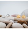 Shell earrings
